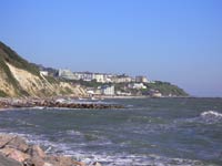 Ventnor Town