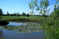 newport golf course lake