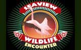 Seaview Wildlife Encounter